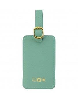 F1 Correspondent Luggage Tag Spearmint